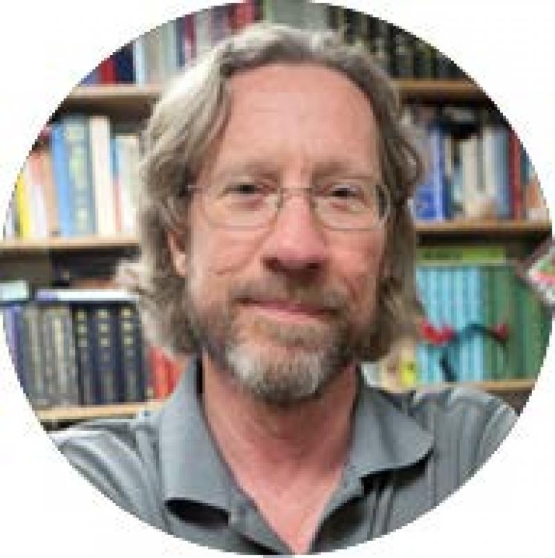 Professor Michael Pettid