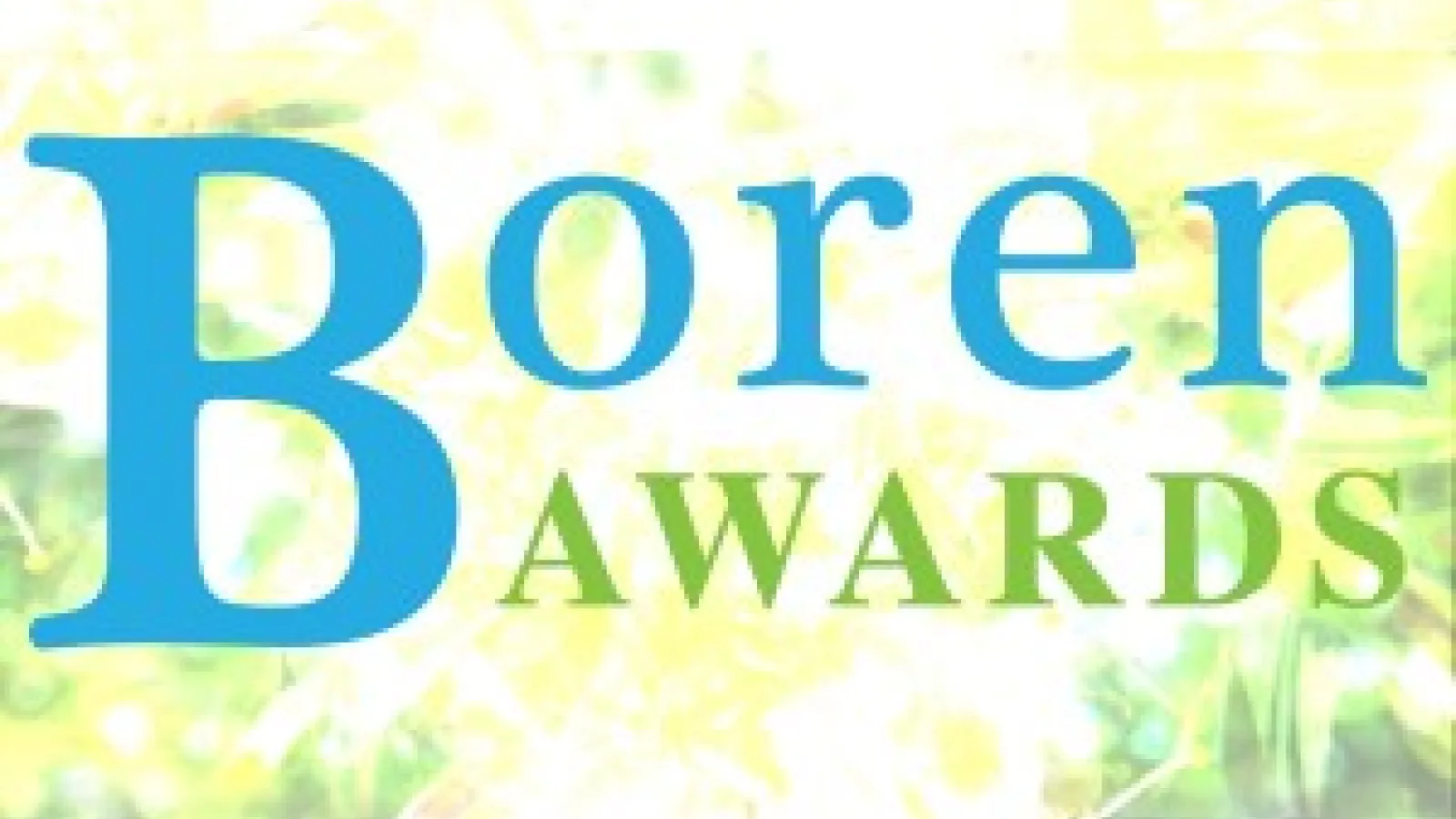 NSEP Boren Logo