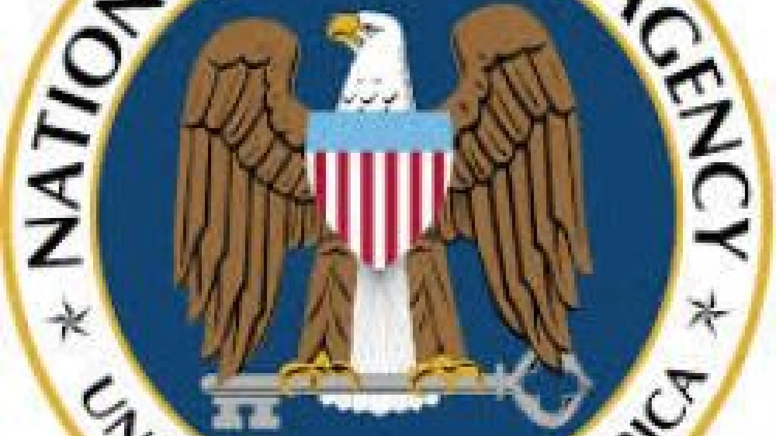 NSA logo