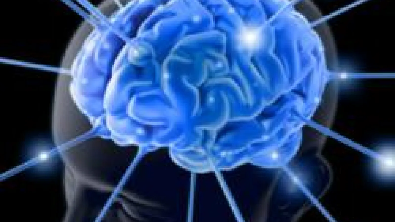 Brain