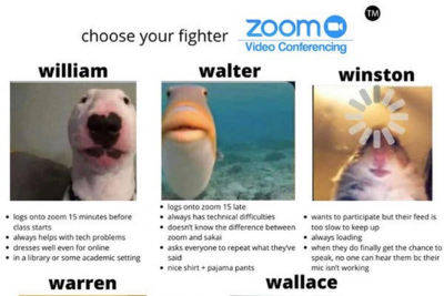 Zoom meme