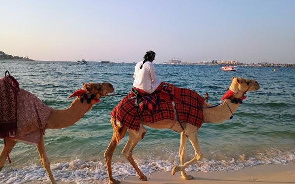 A man on a camel in Dubai