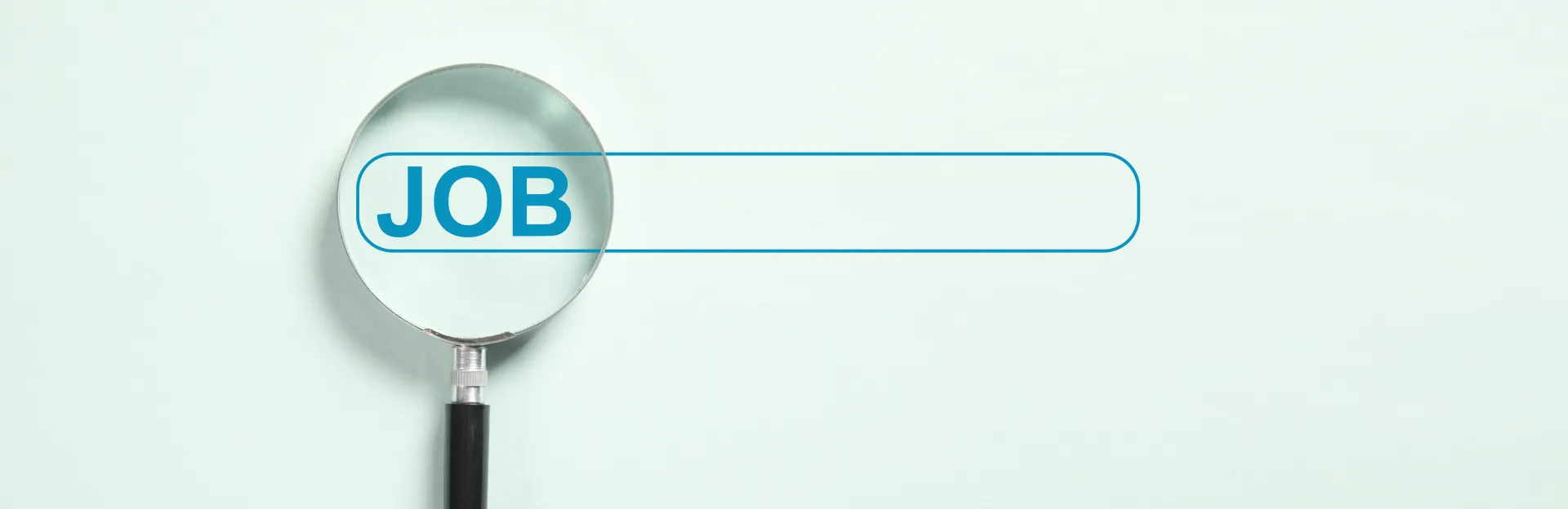 Closeup of a job search online