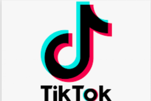 TikTok Logo