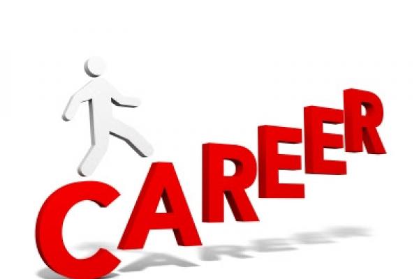 Career Path Career Path