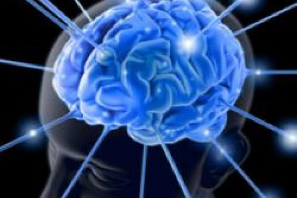 Brain Brain