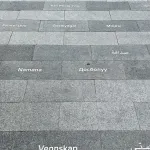 Friendship in 141 languages at University Square