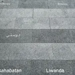 Friendship in 141 languages at University Square